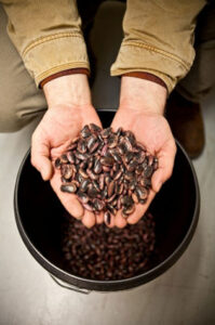 The Story of Seed, Part 1: An Introduction to Seed Saving Image
